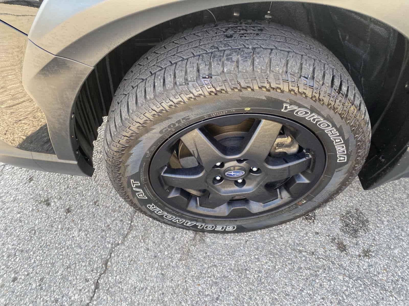 2025 Subaru Outback Wilderness