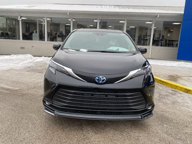 2025 Toyota Sienna XLE 7 Passenger