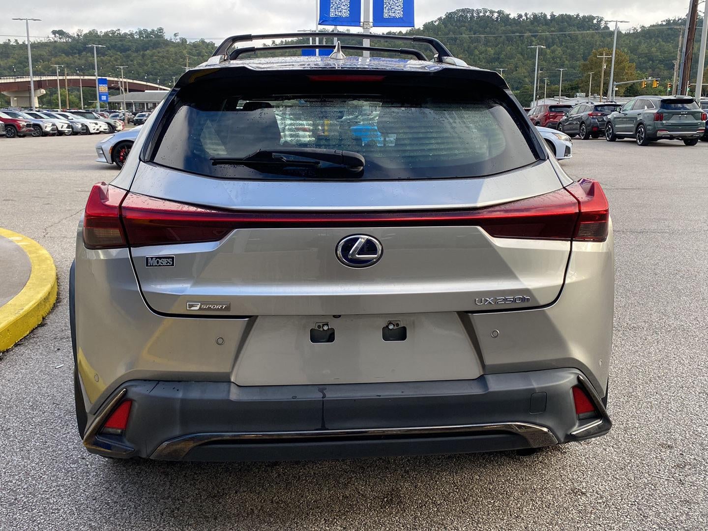 2020 Lexus Ux UX 250h F SPORT