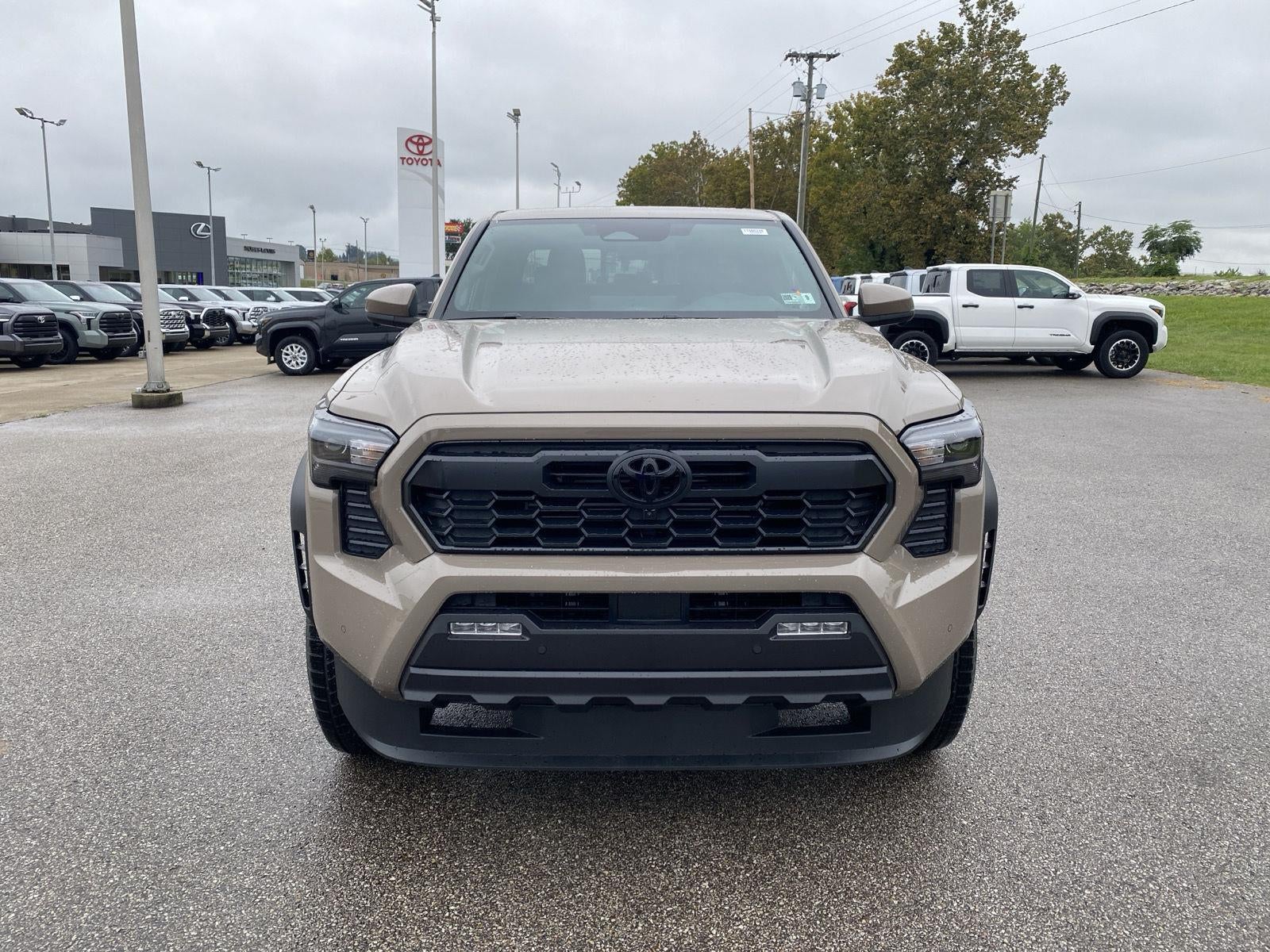 2026 Toyota Tacoma TRD Off-Road HV